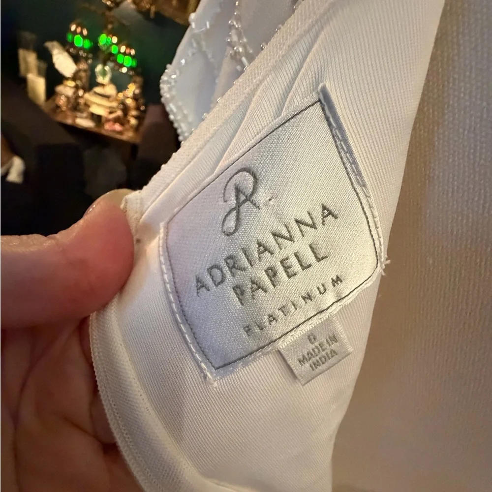 Adrianna Papell Platinum Bridal Gown – Style 39002 | Beaded Tulle Wedding Dress - Picture 7 of 11